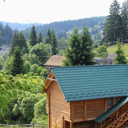"Лісова Ягода" Yablunytsia Dış mekan fotoğraf