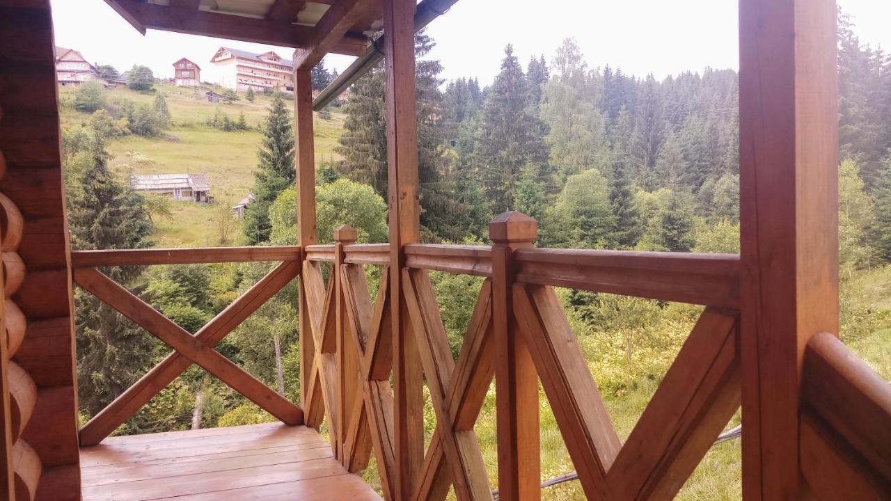 "Лісова Ягода" Yablunytsia Dış mekan fotoğraf