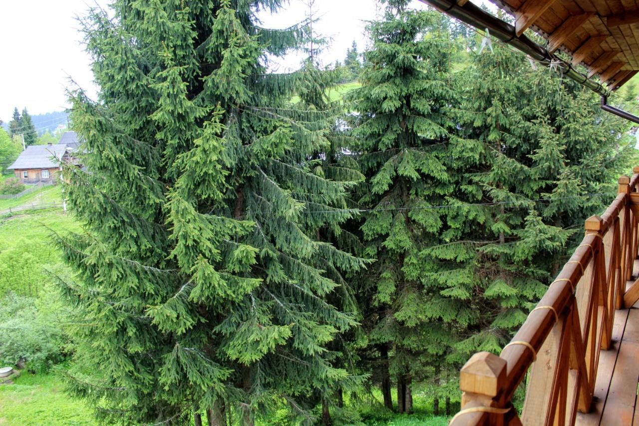 "Лісова Ягода" Yablunytsia Dış mekan fotoğraf